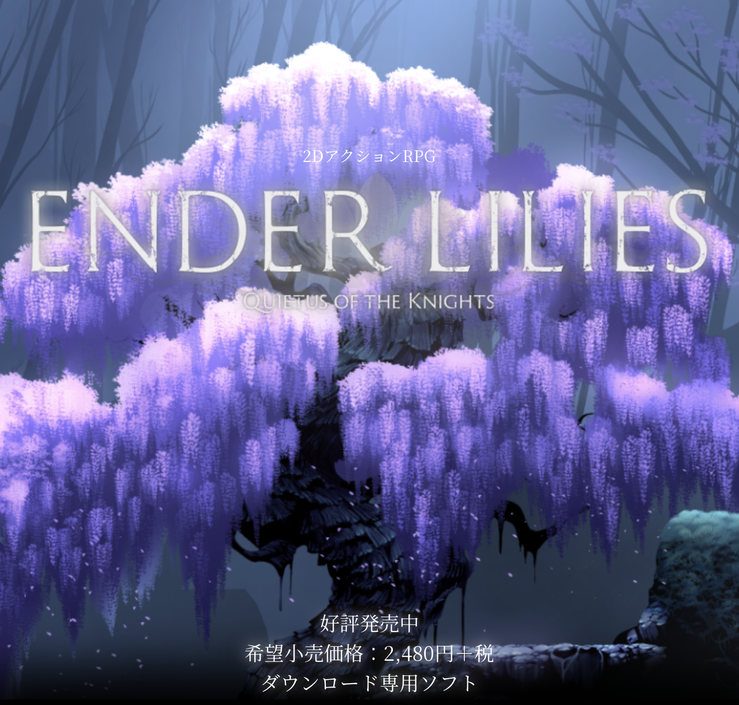 Image in a image block