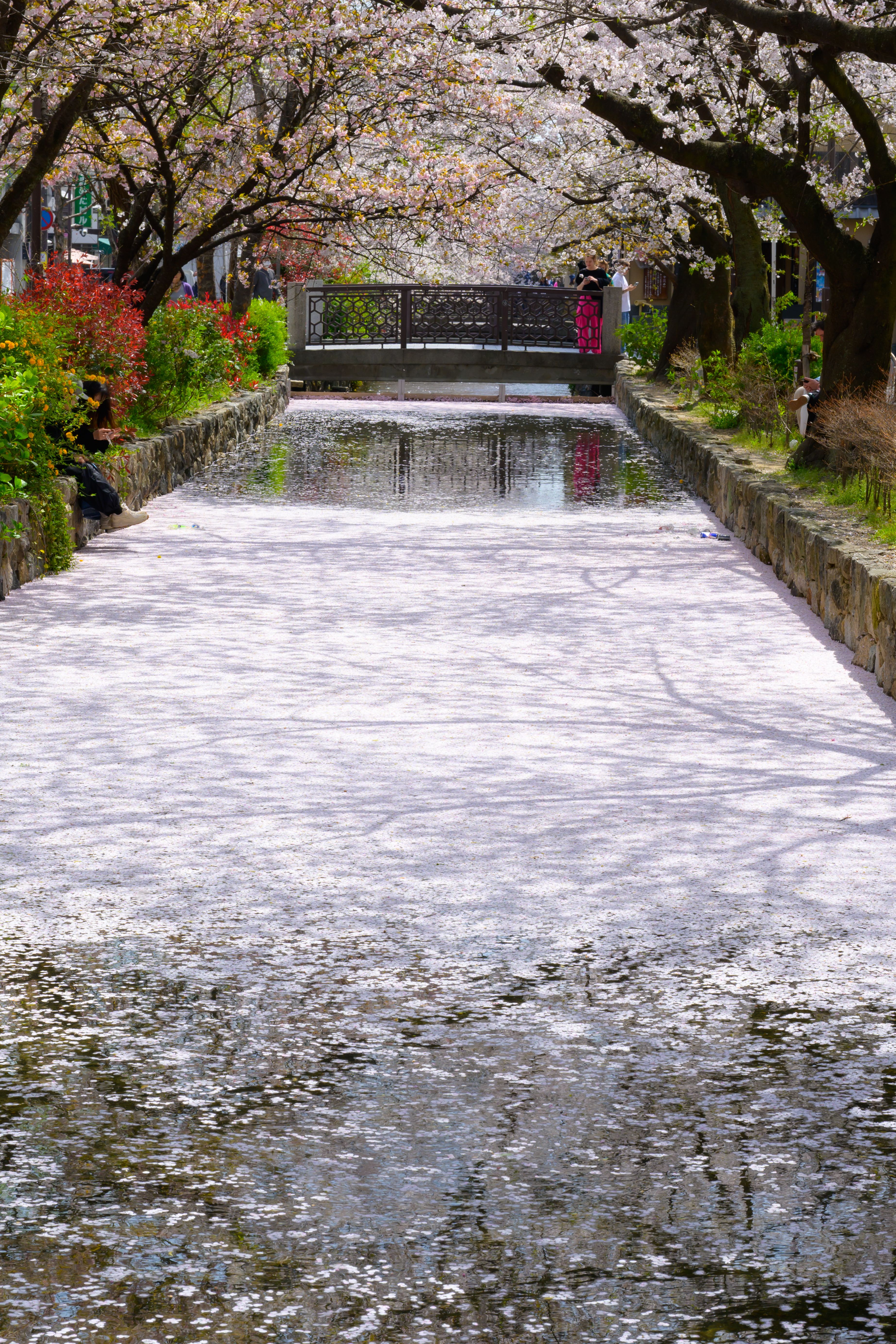 Image in a image block