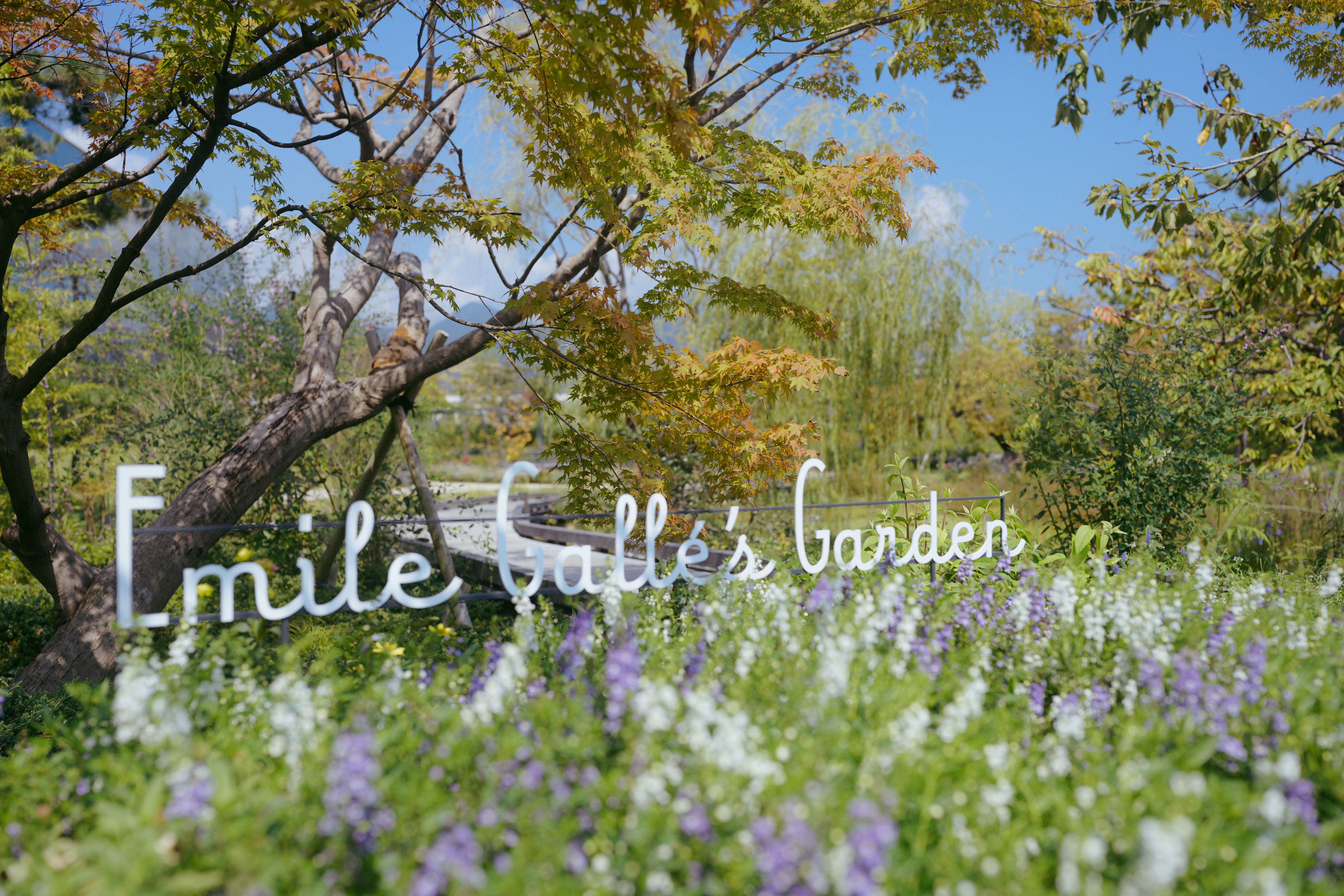 Image in a image block