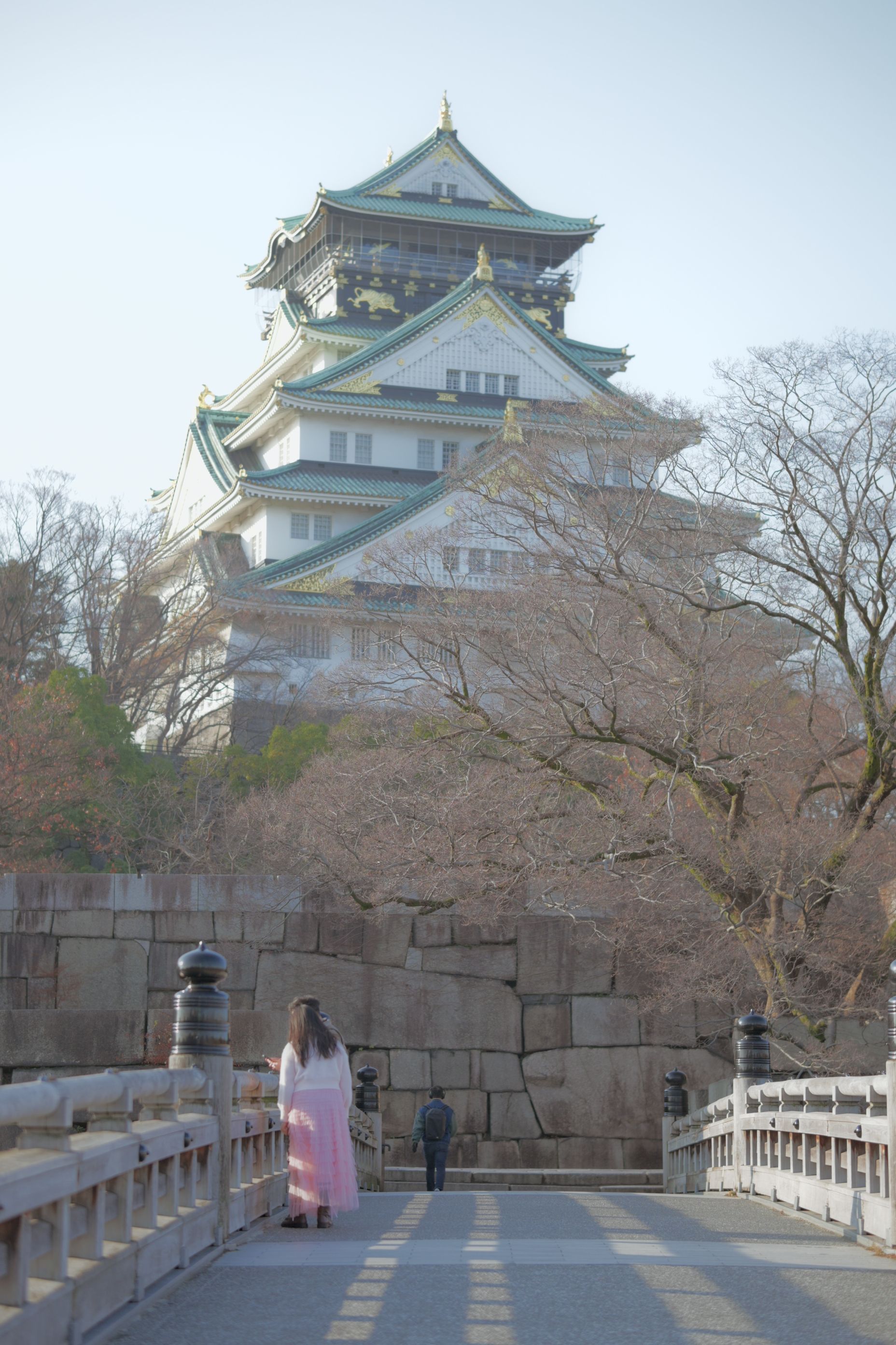 Image in a image block