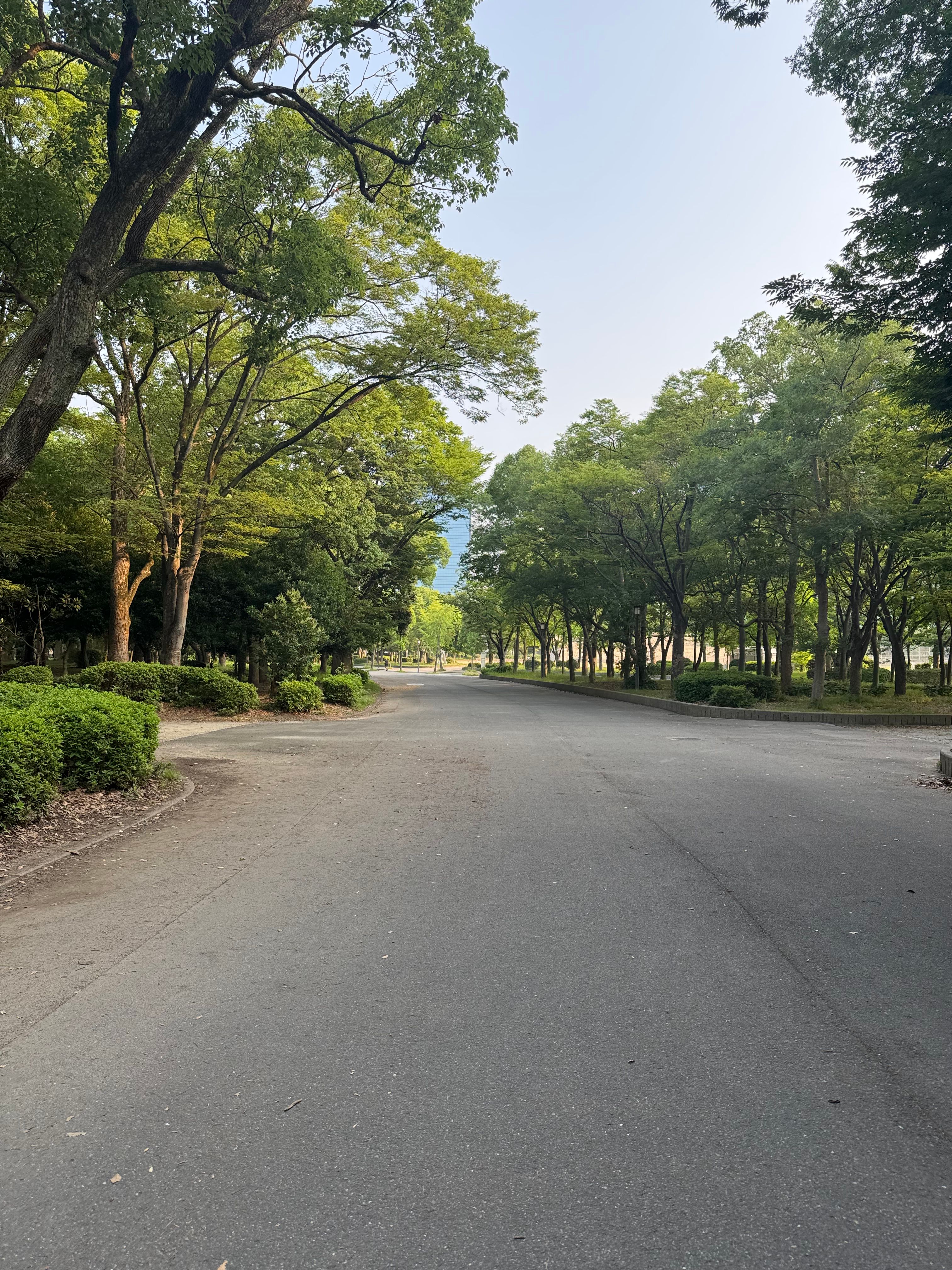 Featured image of the post