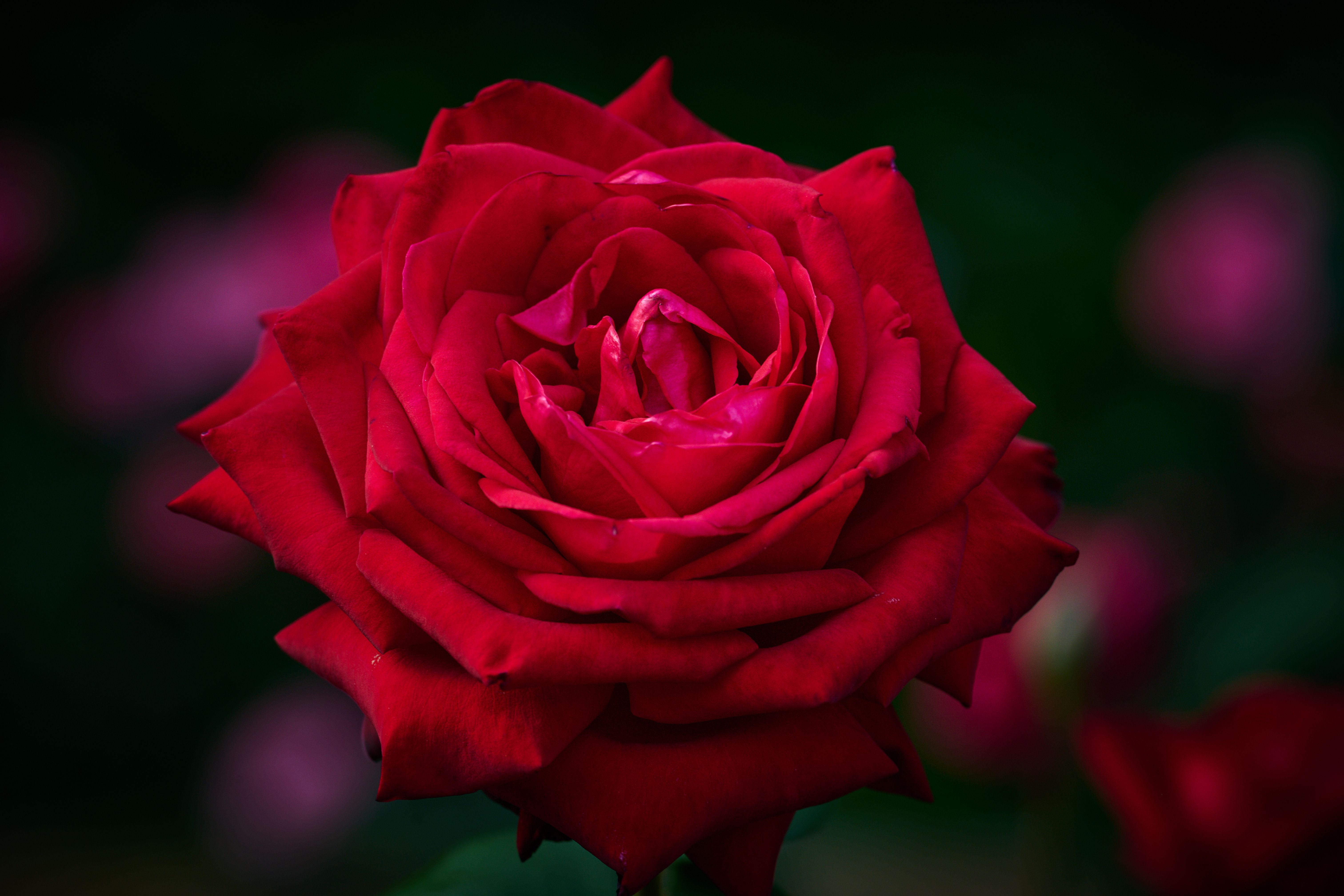 Featured image of the post