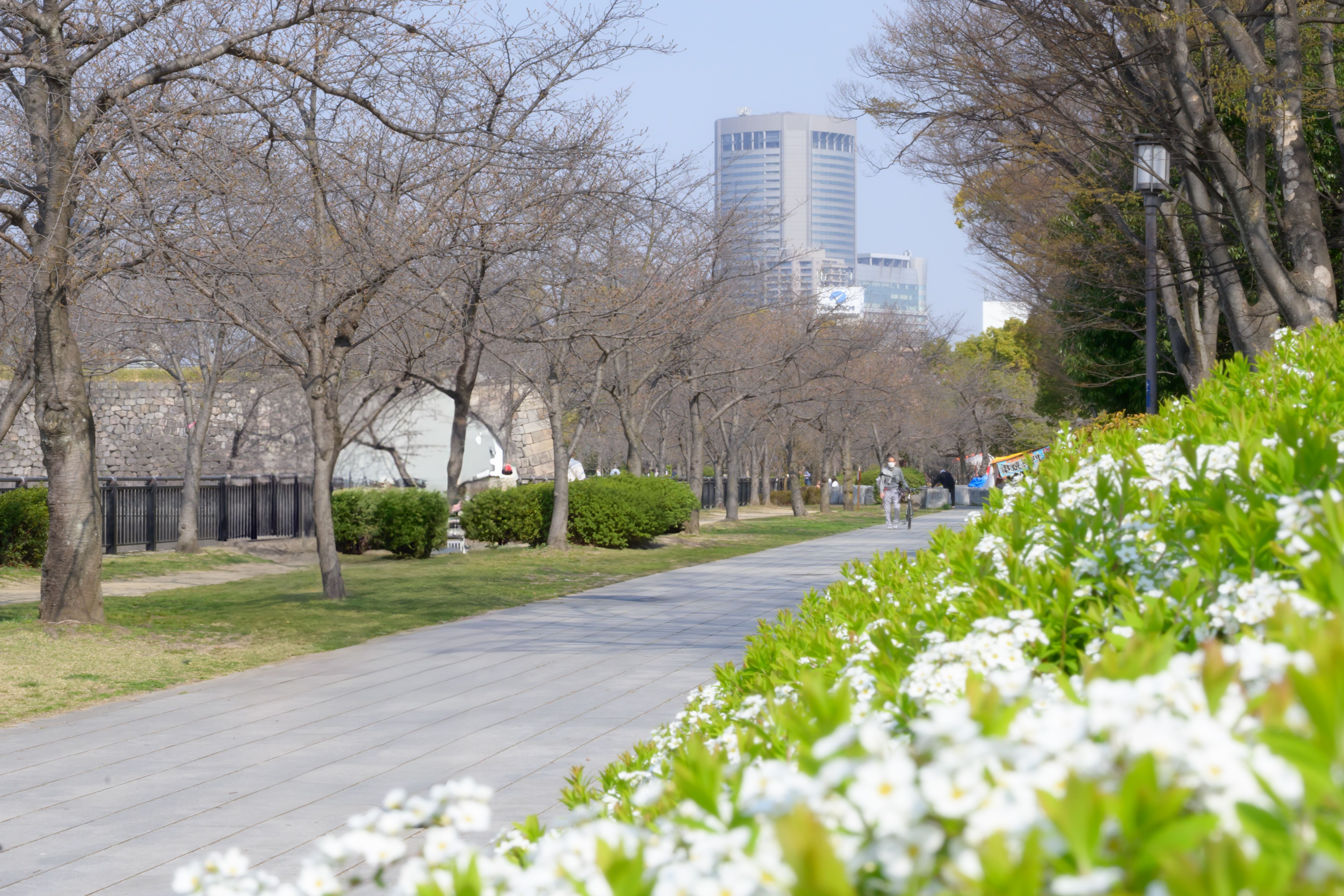 Image in a image block