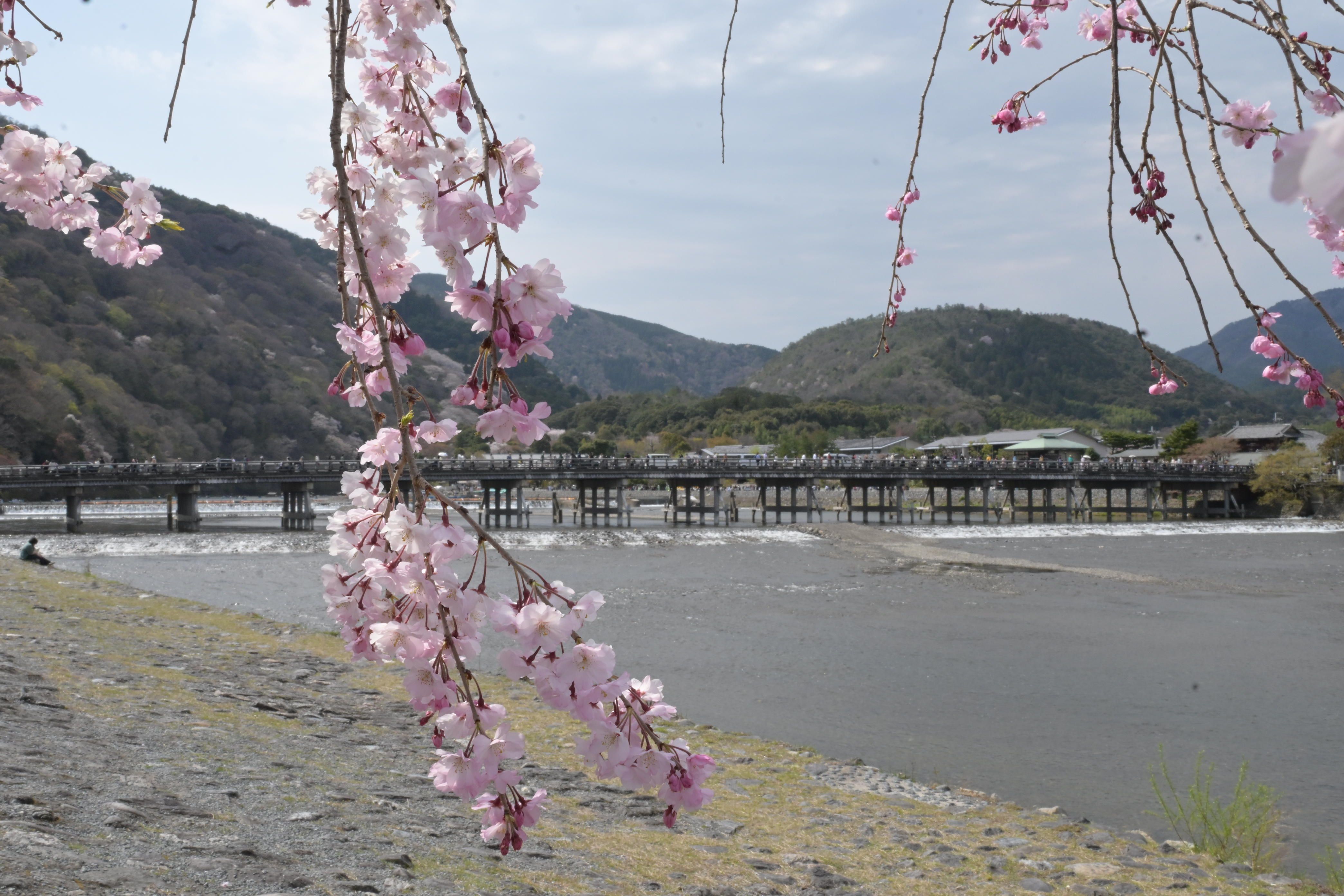 Image in a image block