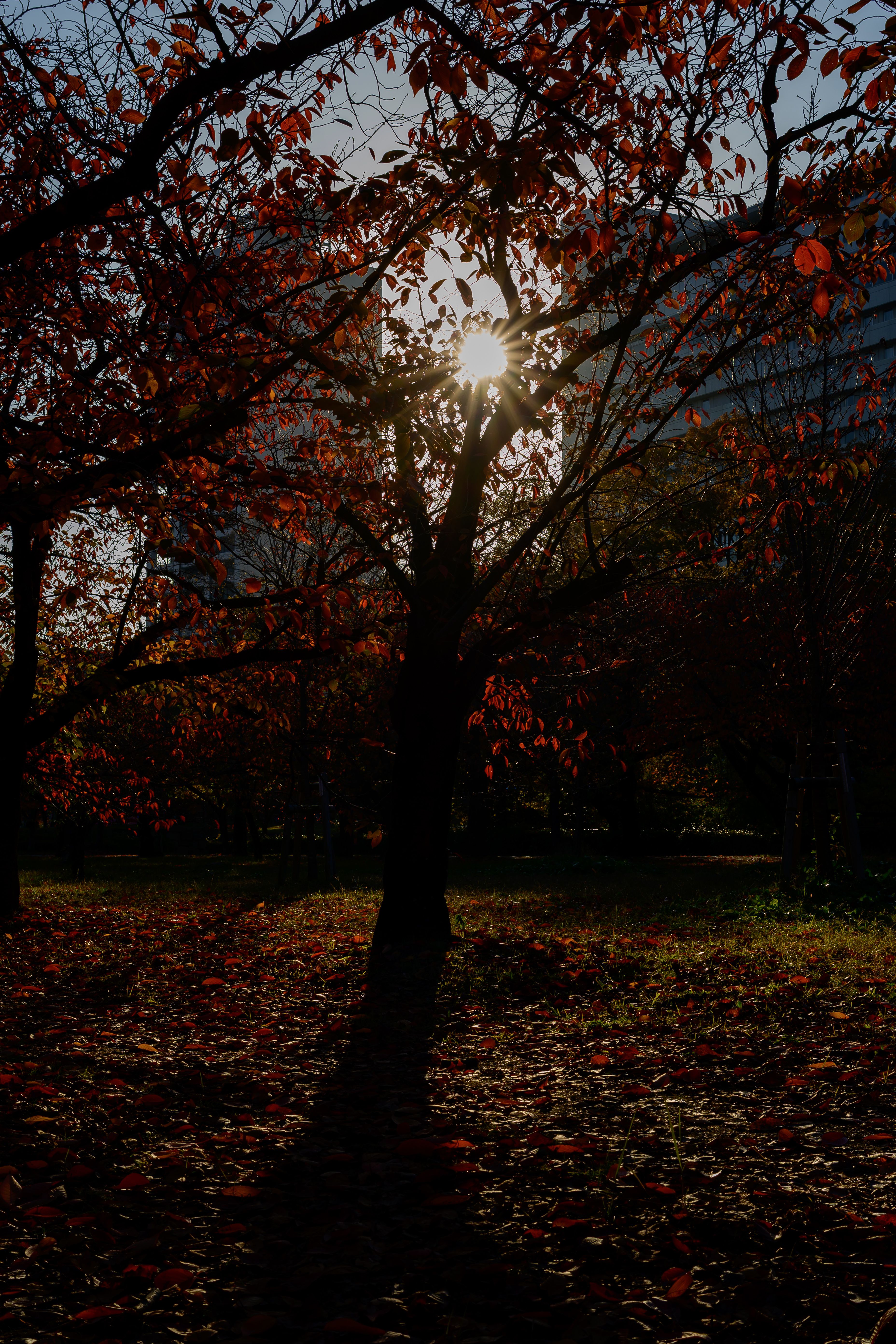 Featured image of the post