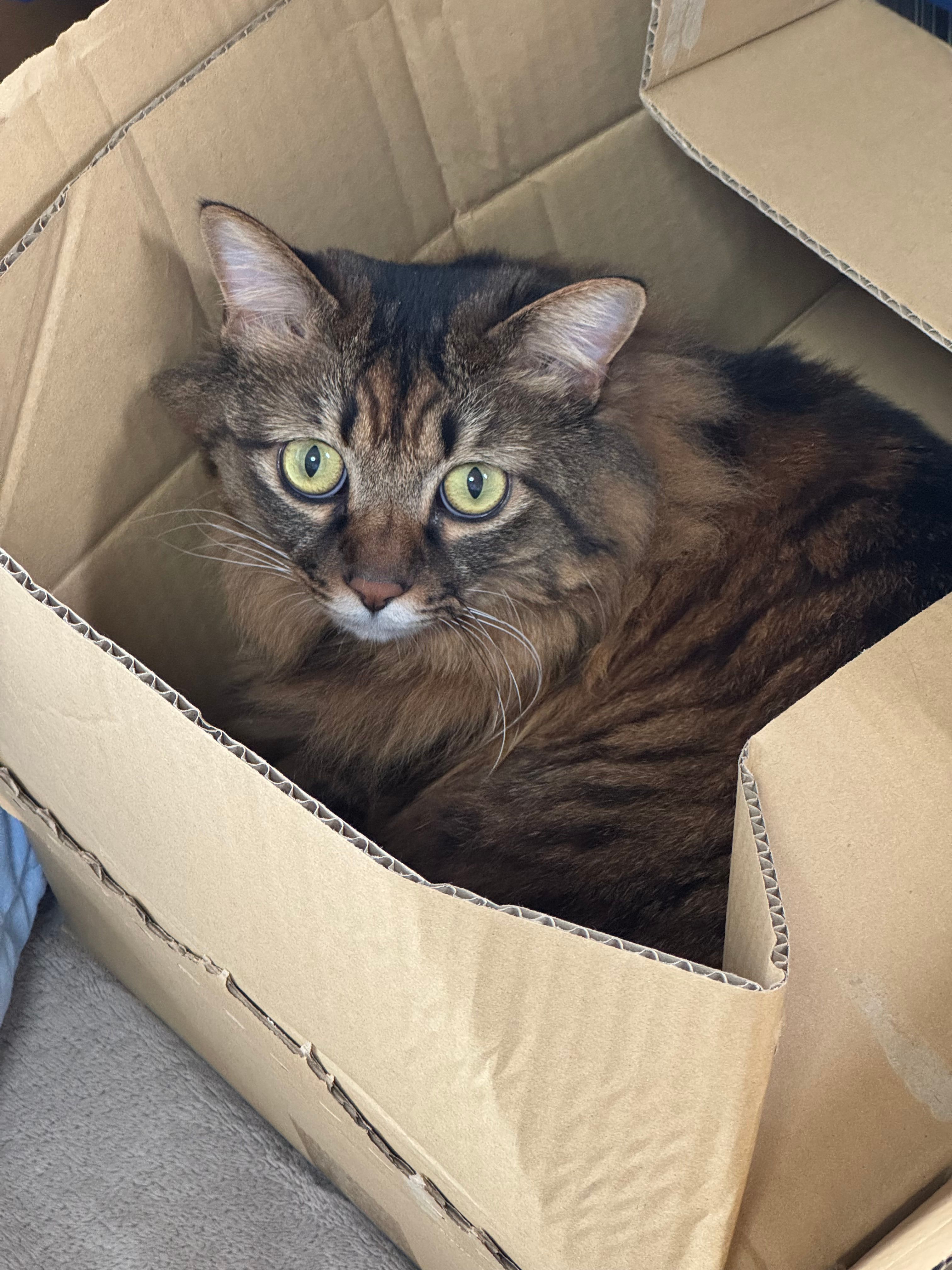 Image in a image block