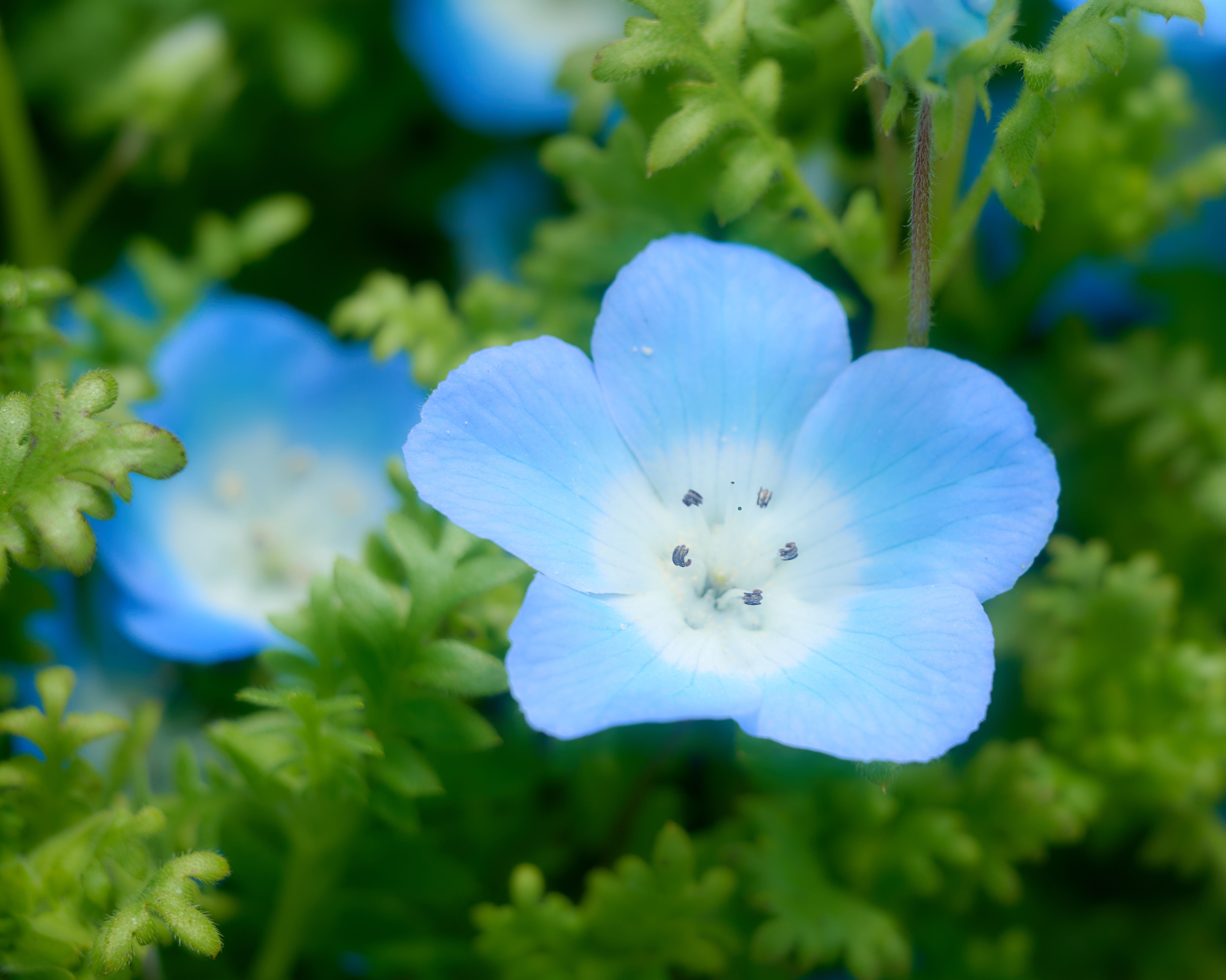 Featured image of the post