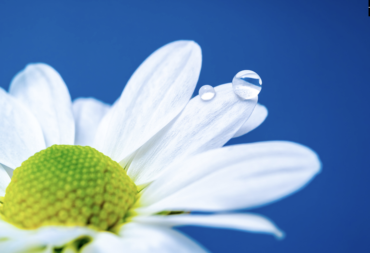 Image in a image block